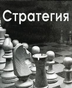 Стратегия. "Немцы хотят знать альтернативную точку зрения" 