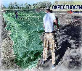 Окрестности (ТВ Губерния)  (выпуск от 14 декабря 2021 года)