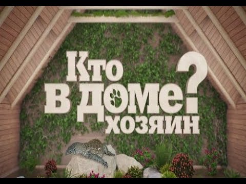 Кто в Доме хозяин (НТВ)  (выпуск от 24 декабря 2023 года)